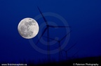 wind moon 4