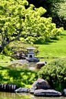 Japanese Garden Lethbridge
