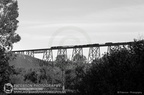 High Level Bridge 20210927 Image125c2 BW