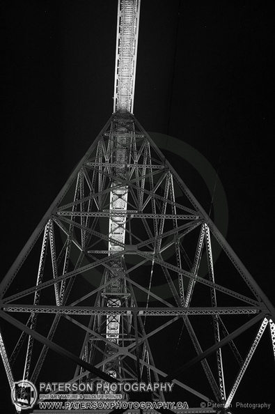 HLB20091111cI018.JPG