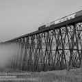 HLB20180920I488c BW