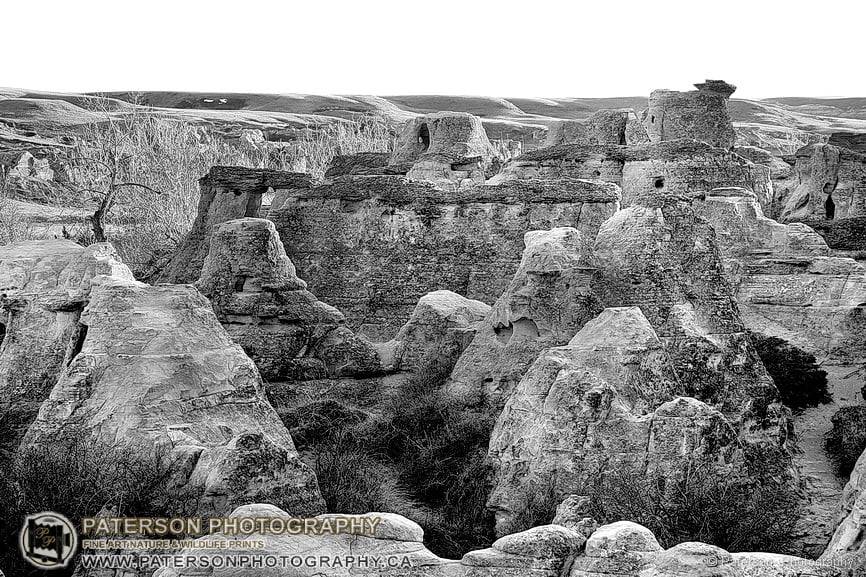 Writing on Stone B&W, Alberta Parks, Art Gallery, Nature photography, Prints for sale, Lethbridge art gallery, Wall decor, wall art, wall prints, collector prints,
