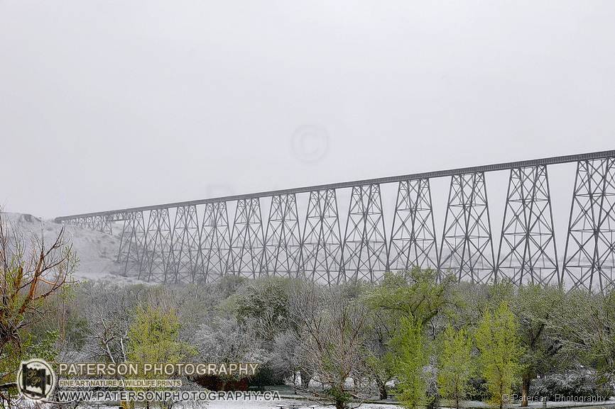 Lethbridge Bridge and spring snow looks across the river valley as a late winter storm blows in