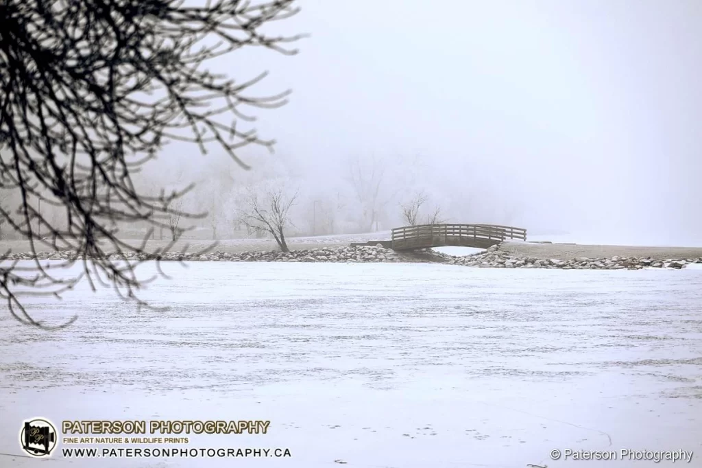 Henderson Lake,  Lethbridge on a frosty morning