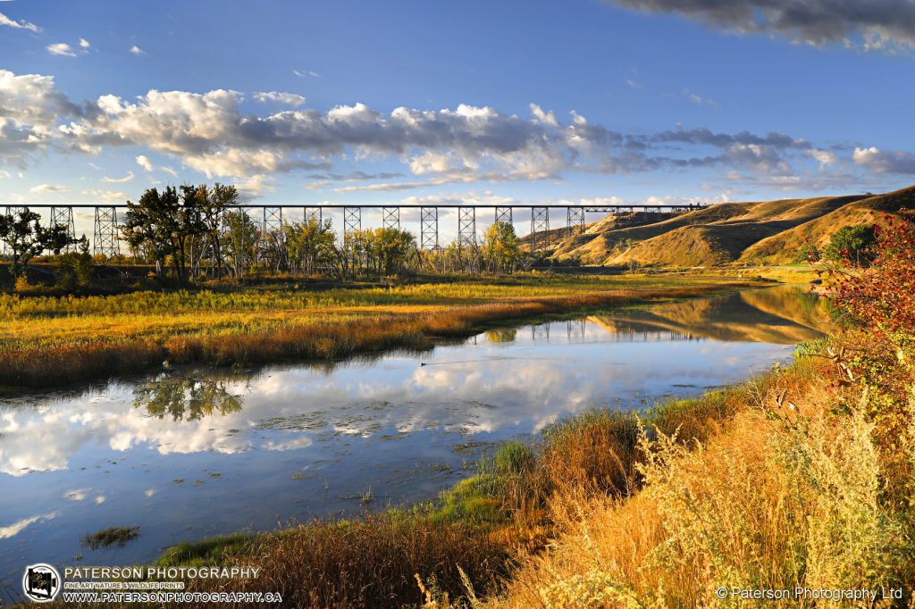 Lethbridge High Level Train bridge in the fall, Lethbridge Bridge Photos