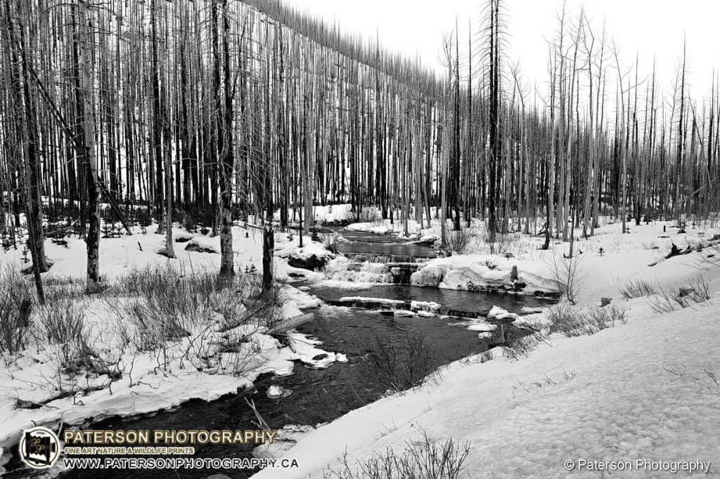 FujiFilm X-T30 III & 13–33mm Lens Waterton Lakes National Park Water Fall