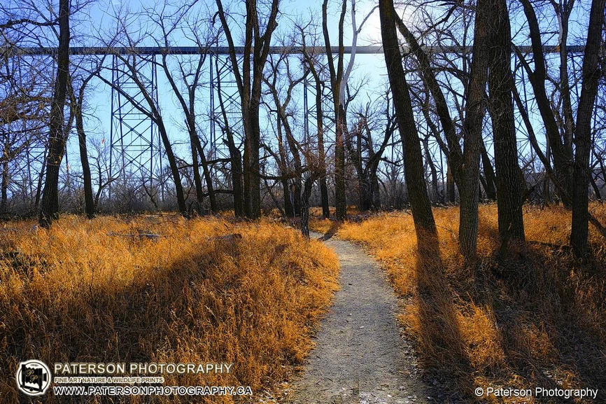 FujiFilm X-T50 and 15–45mm Lens photographing the long shadows of winter in the Lethbridge river valley, Falling Back in Love with Photography in the Lethbridge River Valley