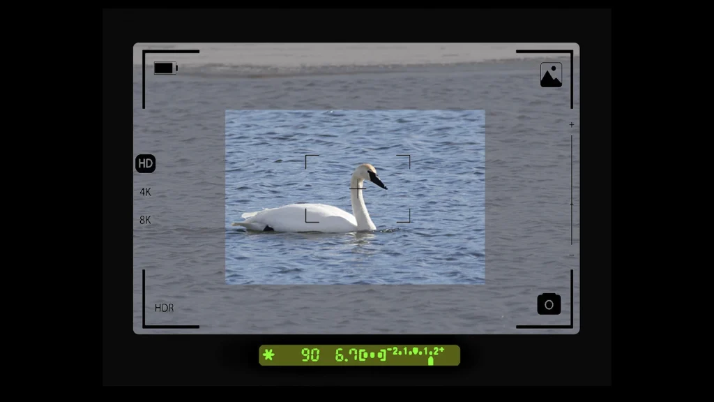 The Real Problem With Digital Zoom