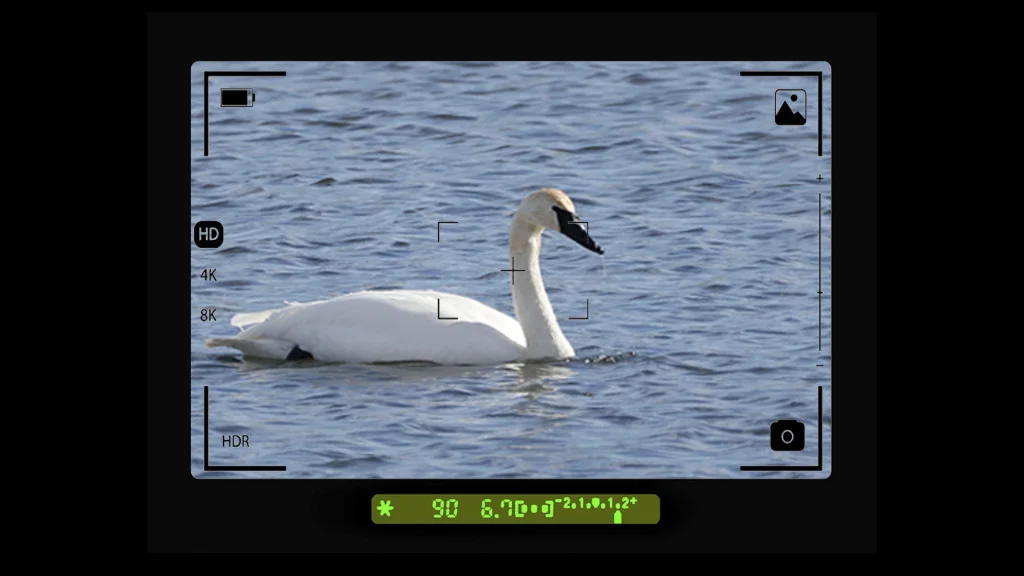 The Real Problem With Digital Zoom