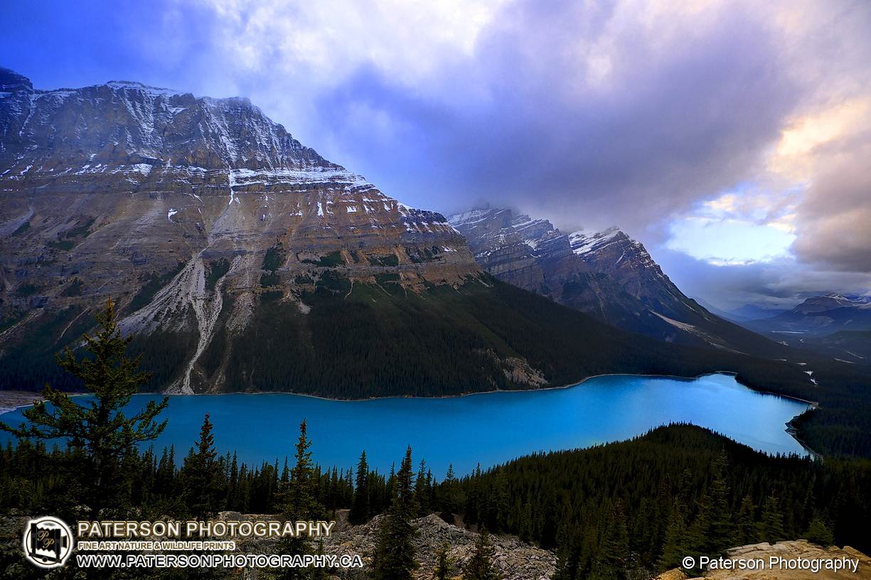 Peyto Lake Banff National Park